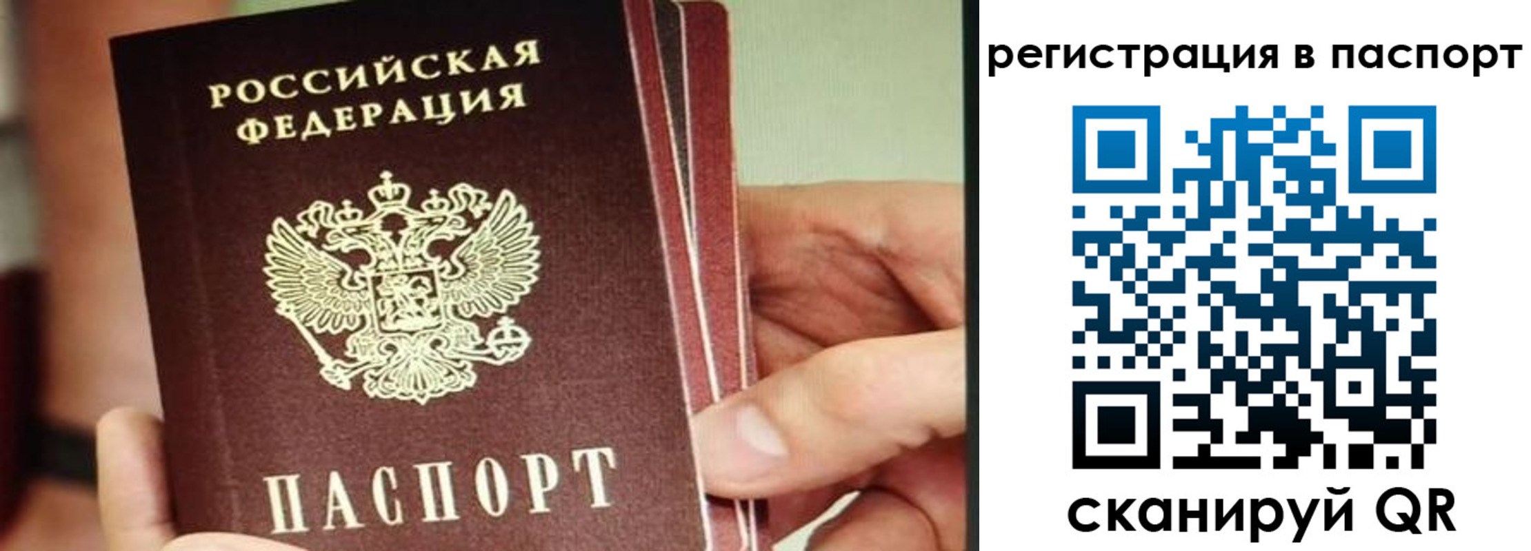 временная регистрация надежно в Струнино